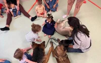 Préparation du chienmédiateur et visiteur