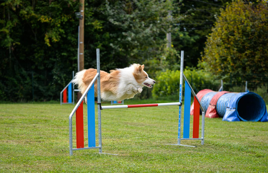 Stage Initiation agility